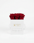 Infinity Rosenbox 6er mit Schmuckfach – Rot in Weiß