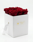 Infinity Rosenbox 6er mit Schmuckfach – Rot in Weiß