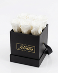 Infinity Rosenbox 6er – Weiß in Schwarz