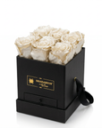 Infinity Rosenbox 6er mit Schmuckfach – Champagner in Schwarz