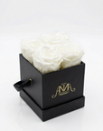 Infinity Rosenbox 4er – Weiß in Schwarz