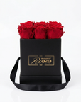 Infinity Rosenbox 9er – Rot in Schwarz