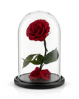 Infinity Rose in Glaskuppel M – Rot