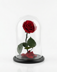 Infinity Rose in Glaskuppel M – Rot