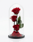 Infinity Rose in Glaskuppel L – Rot