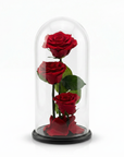 Infinity Rose in Glaskuppel L – Rot