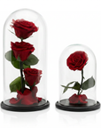 Infinity Rose in Glaskuppel M – Rot