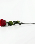 Infinity Stielrose – Rot (30 cm)